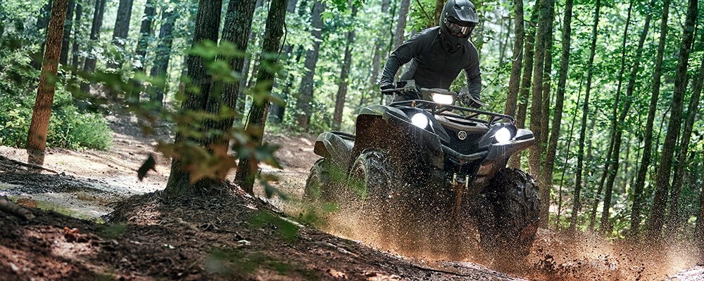 2020 Yamaha Grizzly EPS SE