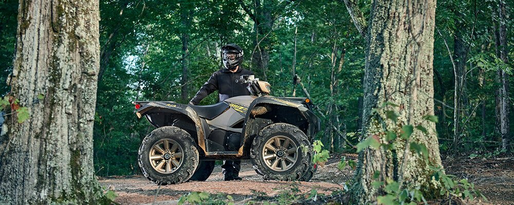 2020 Yamaha Grizzly EPS SE