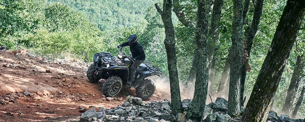 2020 Yamaha Grizzly EPS SE