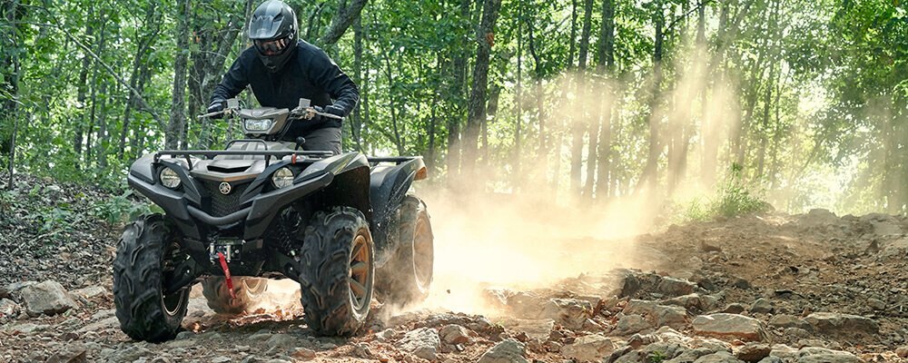 2020 Yamaha Grizzly EPS SE