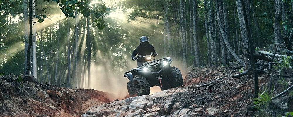 2020 Yamaha Grizzly EPS SE