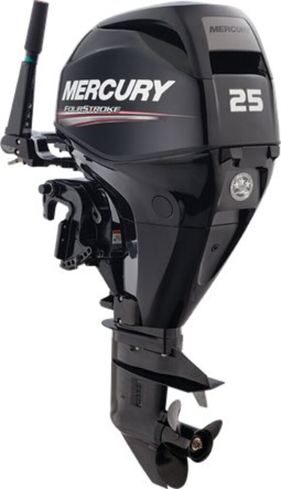 Mercury FourStroke 25 EFI