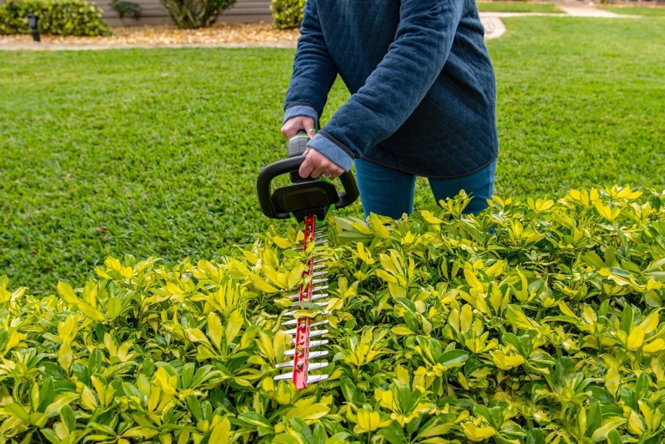 Greenworks 24 Volt 22 Hedge Trimmer with Battery and Charger | 24H20