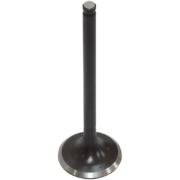 PSYCHIC EXHAUST VALVE (XU 09564E)