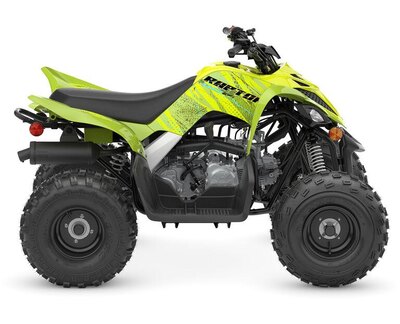 2026 Yamaha Raptor 110 Acid Green