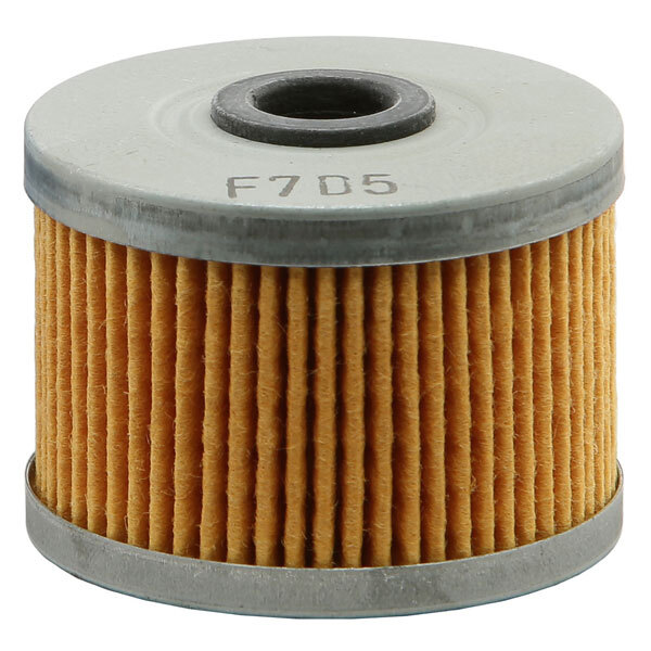 EMGO OIL FILTER (10 99220)