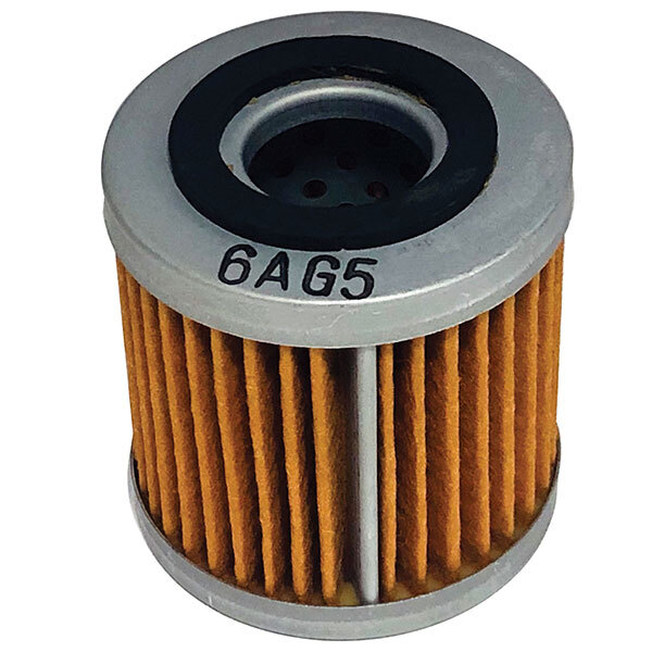 EMGO OIL FILTER (10 26963)