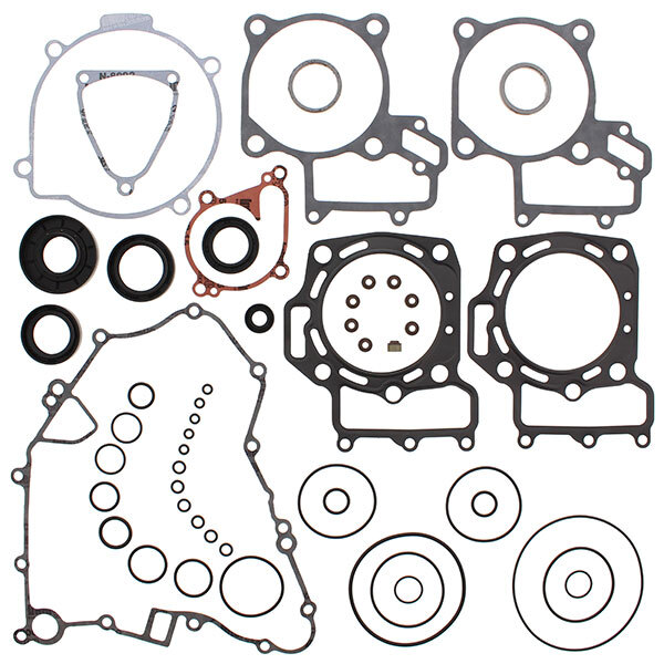 VERTEX GASKET SET & OIL SEALS (811366)