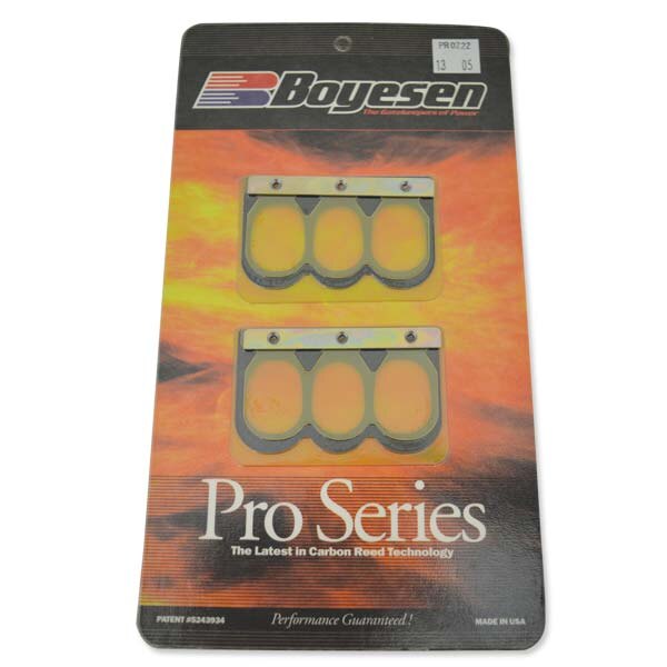 BOYESEN SNOWMOBILE RAGE CAGE REED (PRO 222)