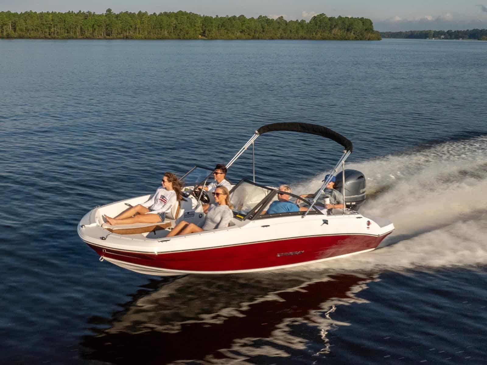Stingray 19DC