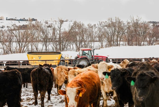 Vermeer VT660 TWIN SCREW VERTICAL MIXER