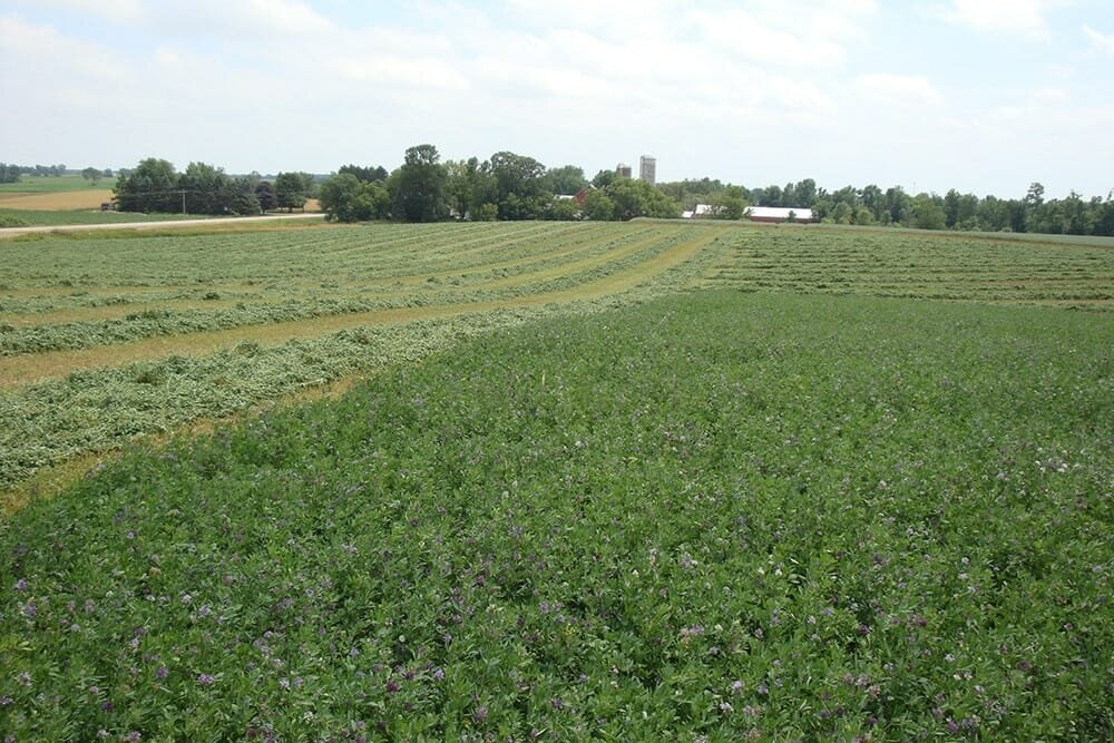 Landoll AGRICULTURAL SEEDERS