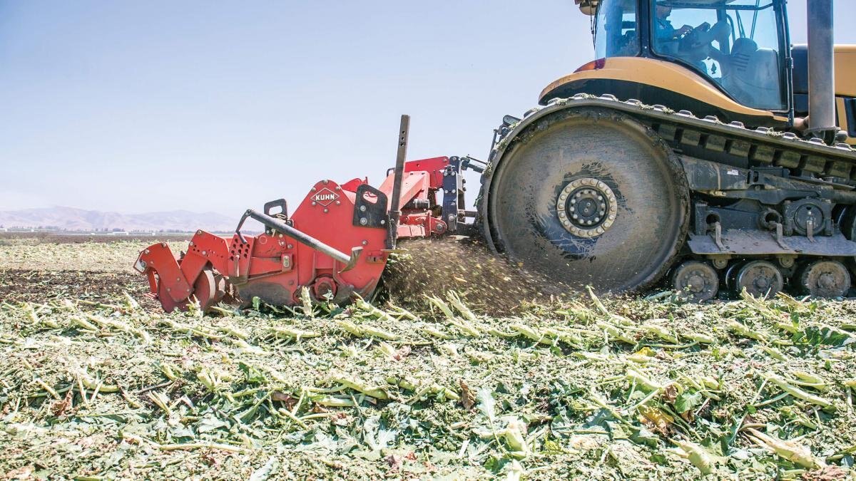 Kuhn EL 282 400 CULTITILLER ROTOR