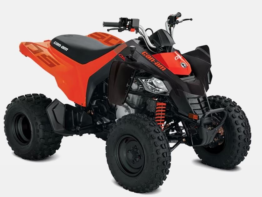 2025 Can Am DS 250