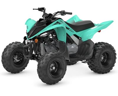 2025 Yamaha Raptor 110 Teal *Save $550!*