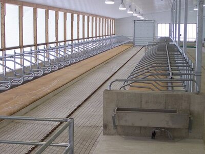 Bauman Suspended Free Stalls