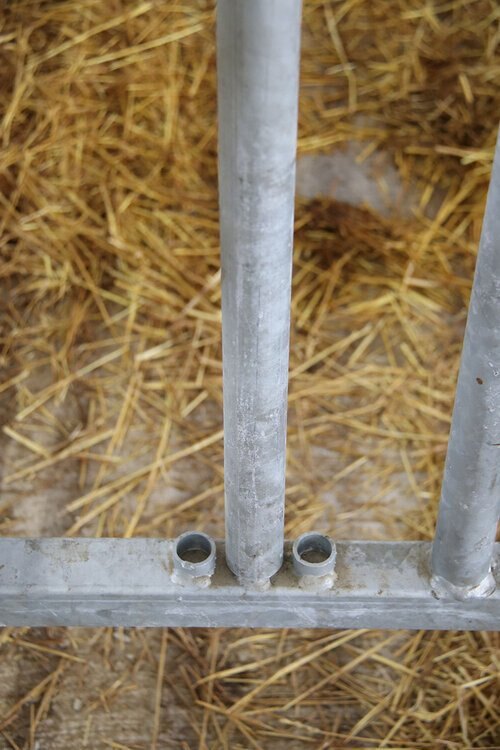 Bauman Calf Pens