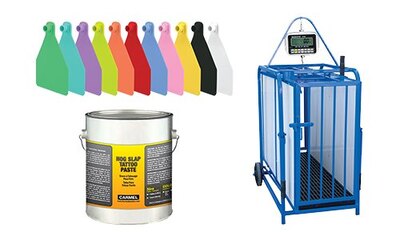 SMB Livestock Identification, Sorting & Scales