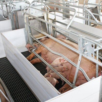 Canarm Creep Divider System