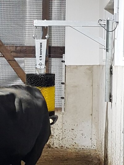 ROVIBEC AUTOMATED COW BRUSH