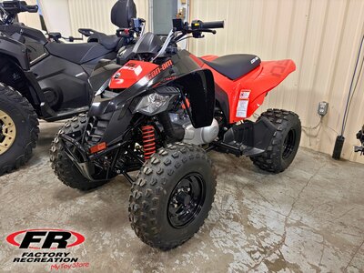 2026 Can-Am DS 250
