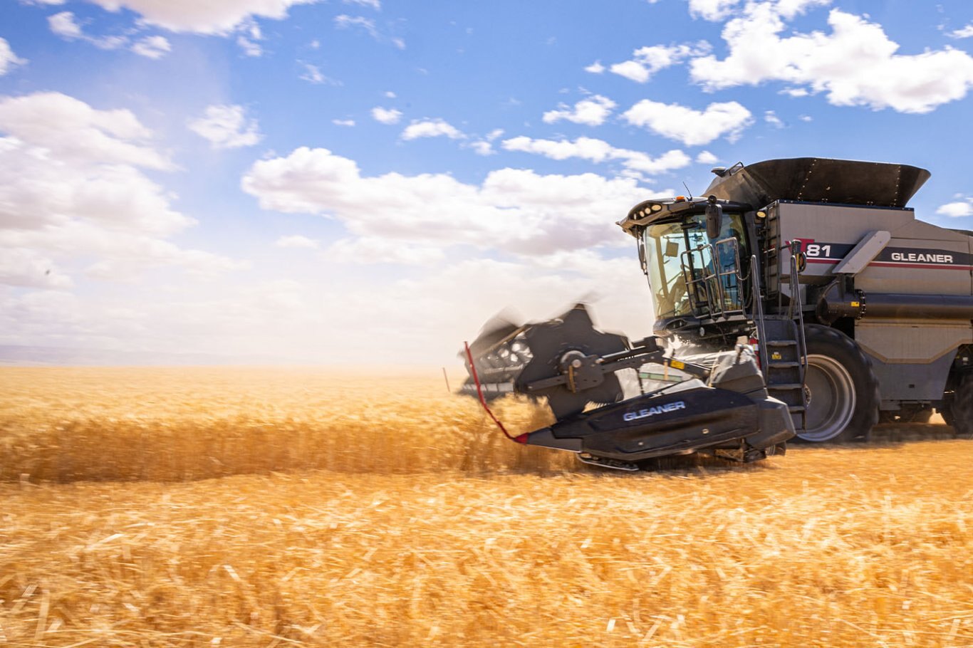 Gleaner T71 Combines