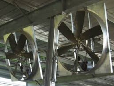 NCF 52 Panel Fan