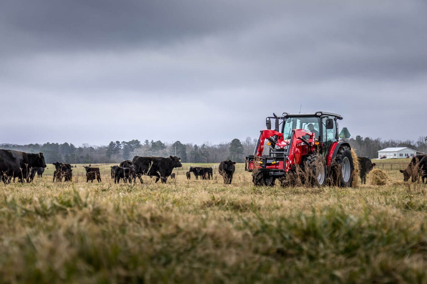 Massey Ferguson 4700 Global Series Utility Tractors MF 4707