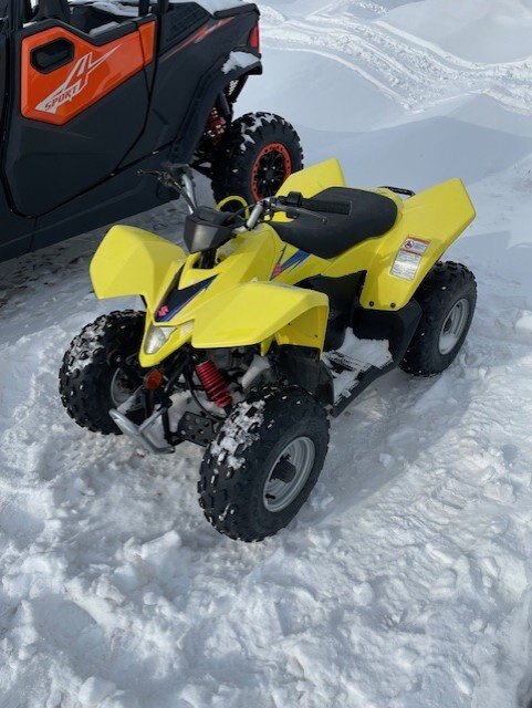 2023 ARCTIC CAT ALTERRA 300