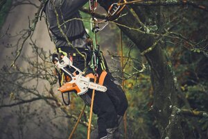 STIHL GTA 40 (Unit Only) GA040116902