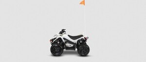 2027 Arctic Cat Alterra 110 White
