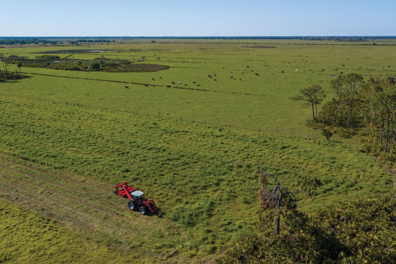 Massey Ferguson MF 1300 Conditioners