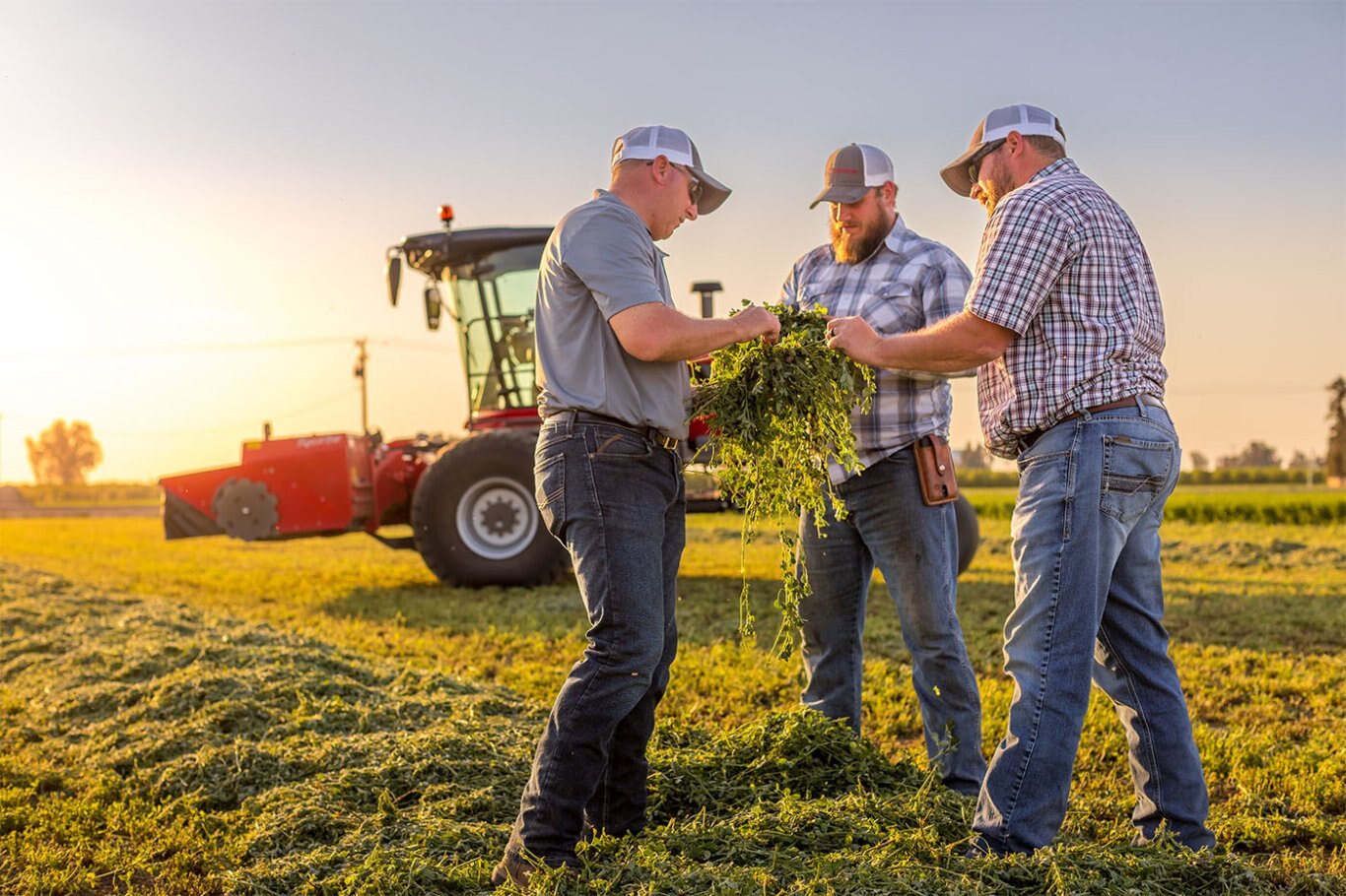 Massey Ferguson MF Self Propelled Windrower