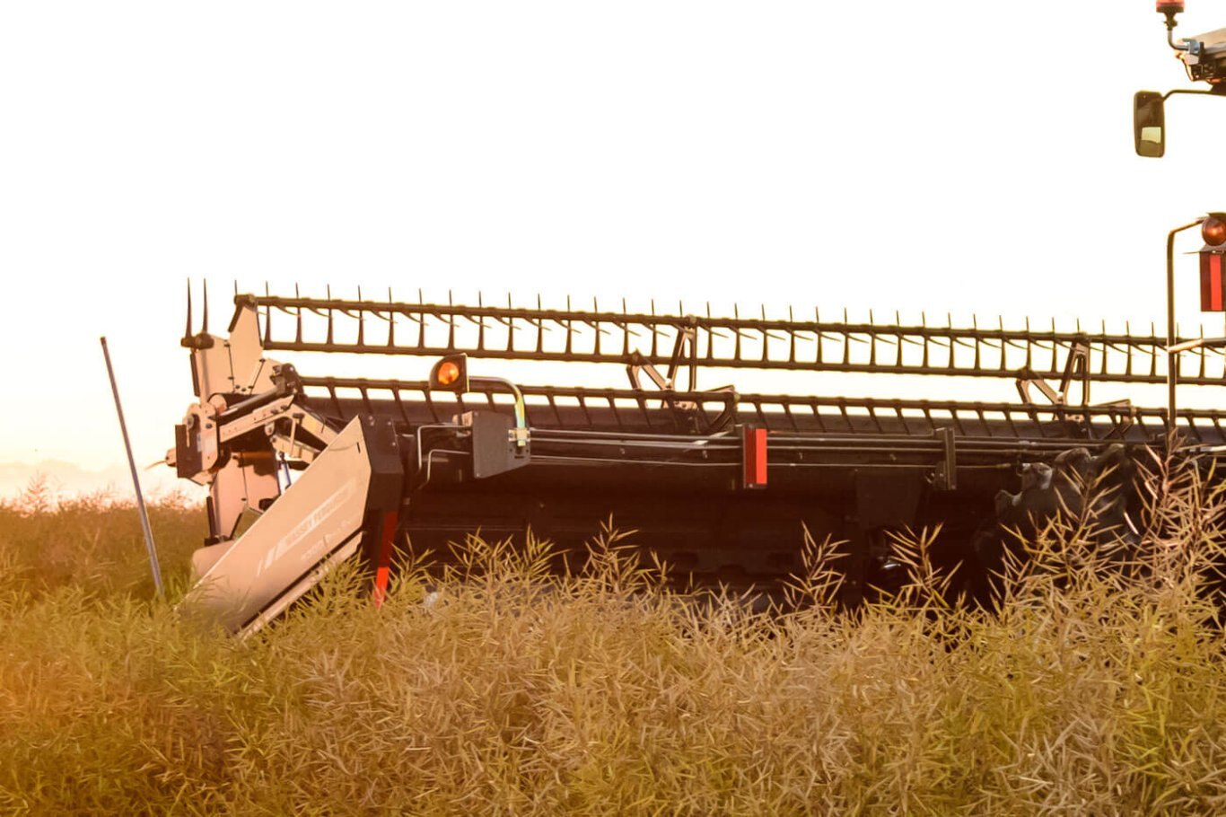 Massey Ferguson MF 5400 Series Draper Headers