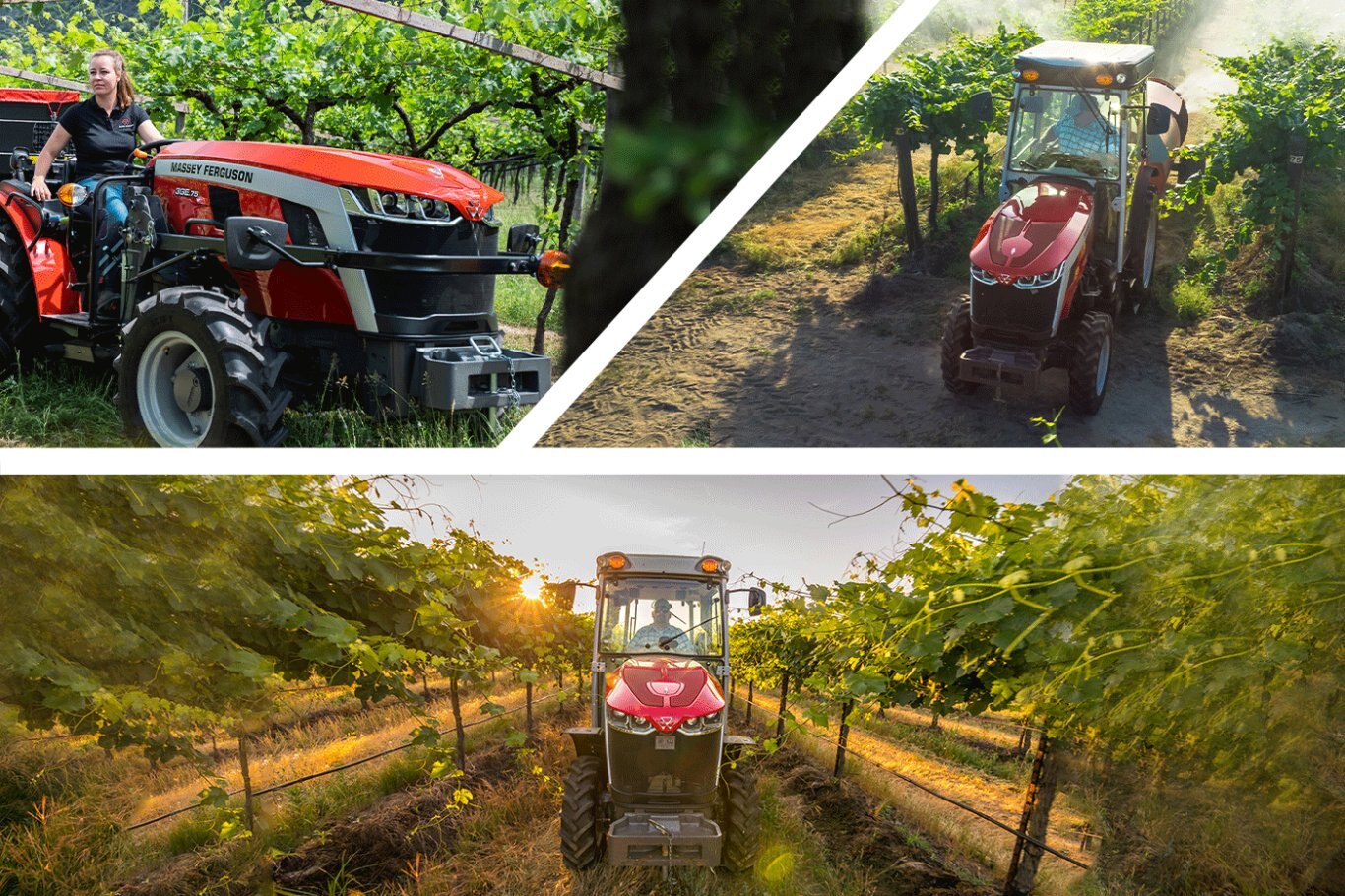 Massey Ferguson MF 3 Series Specialty Tractors