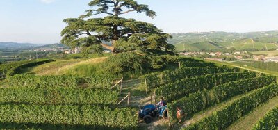 Landini Serie 5-110