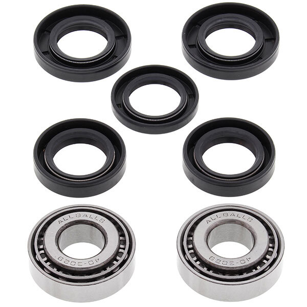 ALL BALLS WHEEL BEARING KIT (25 1523)