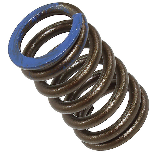 PSYCHIC INTAKE VALVE SPRING (XU 09564IS)