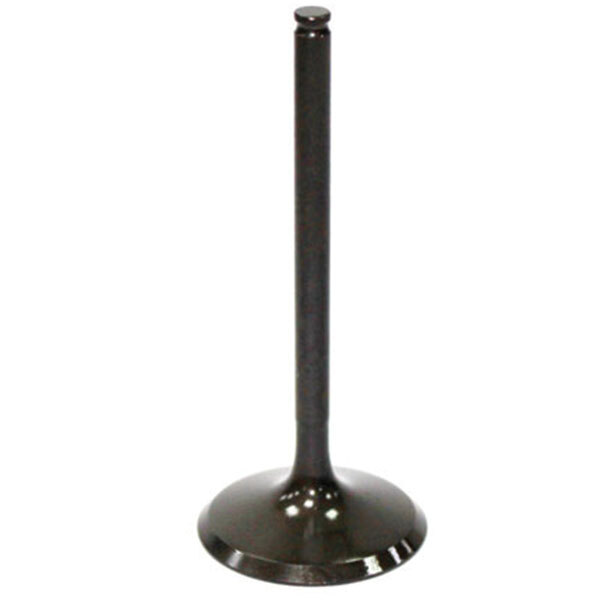 BRONCO ATV/UTV INTAKE VALVE (XU 09500I)