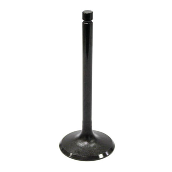 BRONCO INTAKE VALVE (AU 09022I)