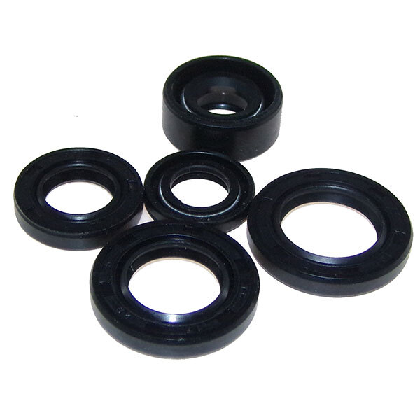 VERTEX ENGINE OIL SEAL KIT (02 1000)