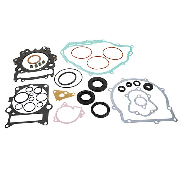 VERTEX GASKET SET & OIL SEALS (8110048)