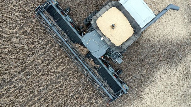 Gleaner 9330 DynaFlex Head