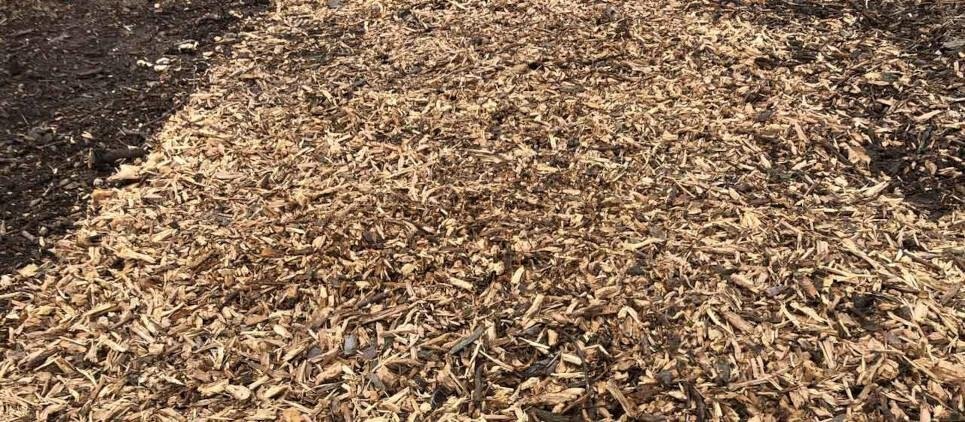 Seppi MINIFORST pick up cl