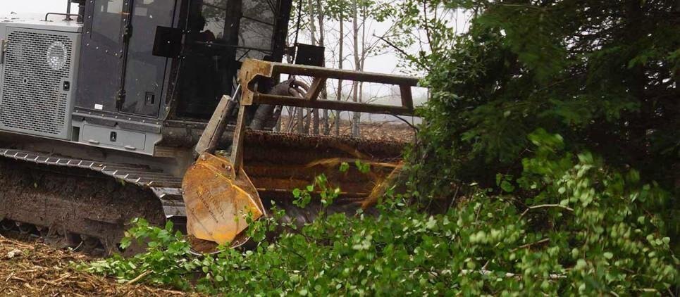 Seppi MIDIFORST dt hyd