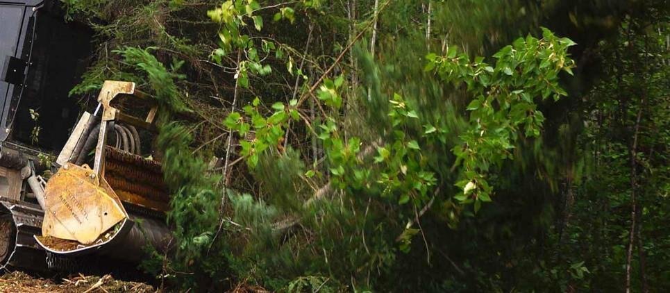 Seppi MIDIFORST dt hyd