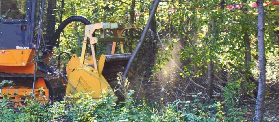 Seppi MIDIFORST dt hyd