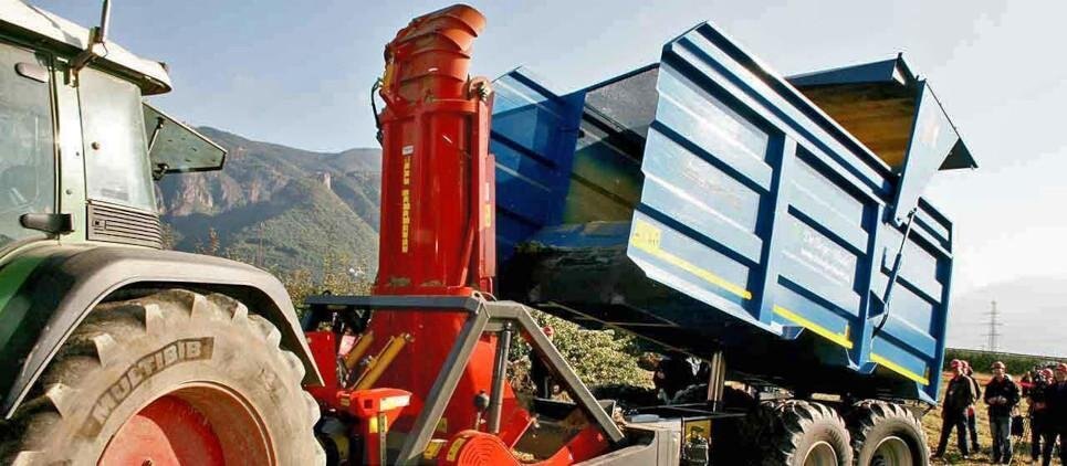 Seppi MIDIFORST drago