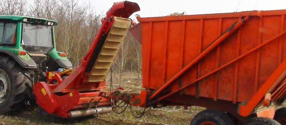 Seppi MIDIFORST drago