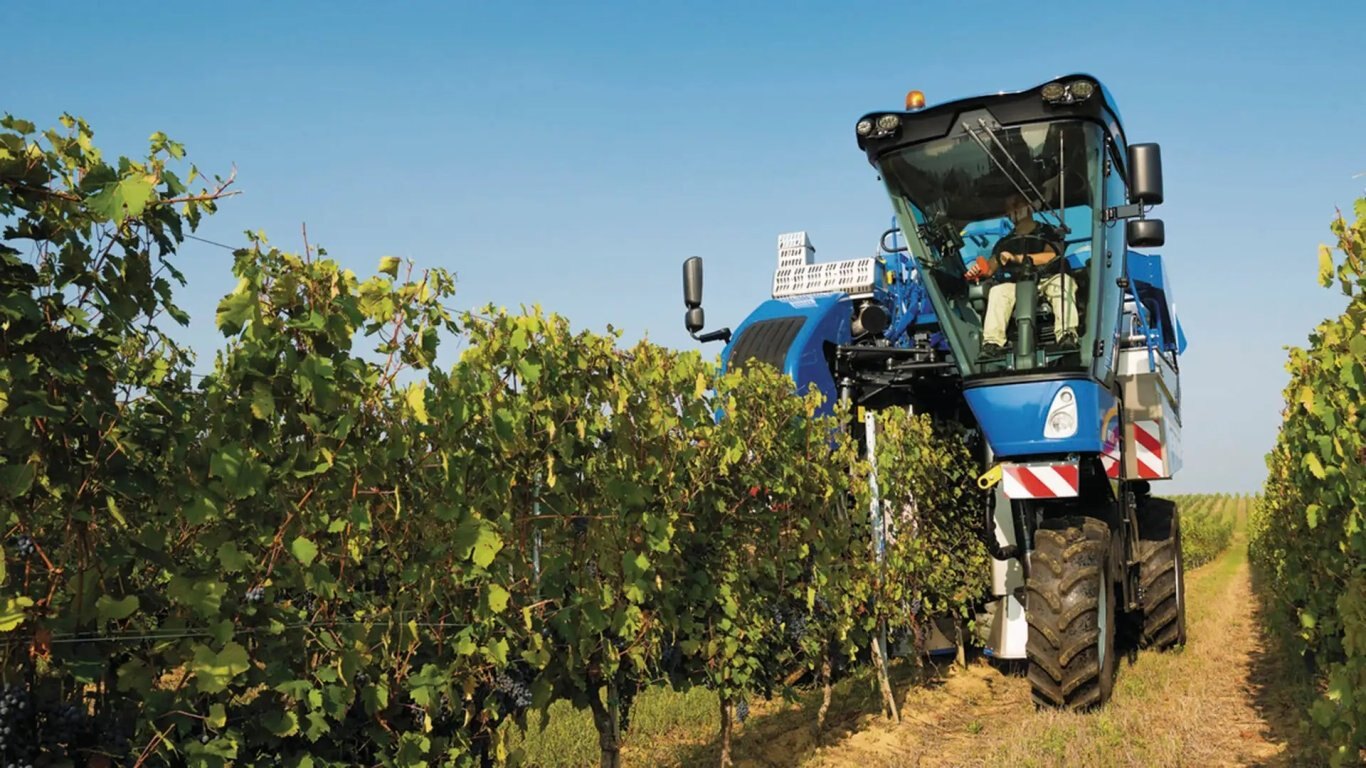New Holland Braud High Capacity Grape Harvesters Braud 9090X – Side Conveyor